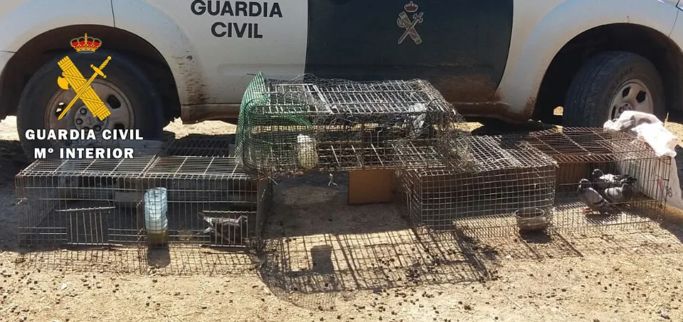 Sucesos Burgos: La Guardia Civil interviene 3 jaulas-trampa para captura de palomas de uso prohibido