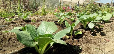 Reportajes Burgos: La moda de los alimentos orgánicos y frescos