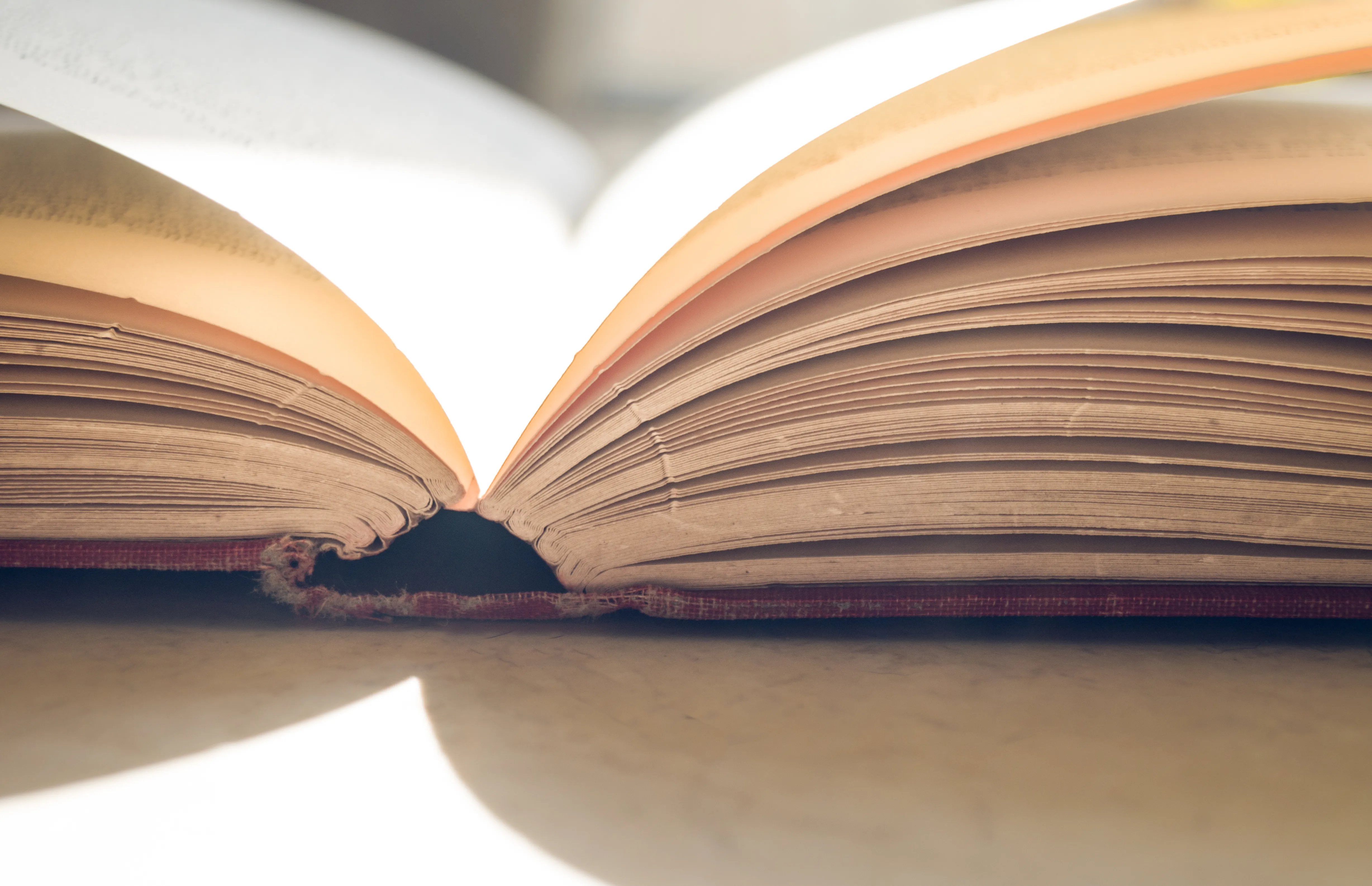 Cultura Burgos: Este viernes entra en las librerias y disfruta de los libros