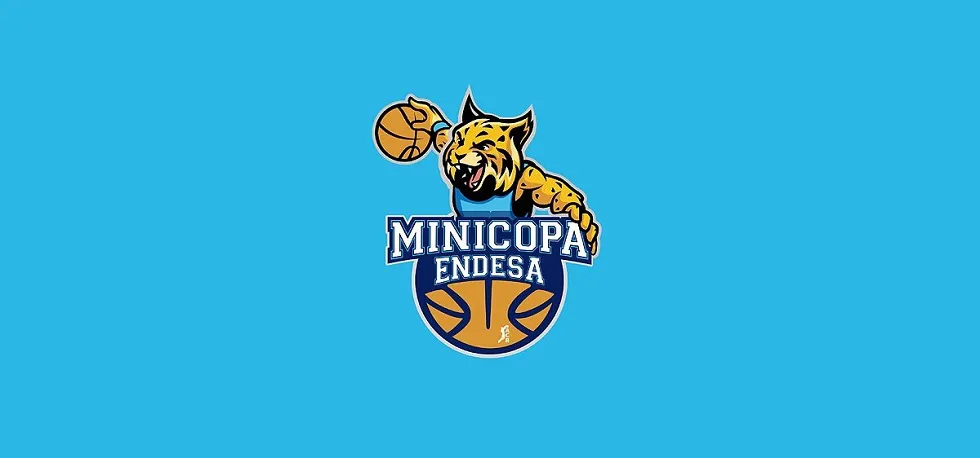 Deportes Burgos: El San Pablo Burgos jugará la fase previa de la Minicopa Endesa 2018