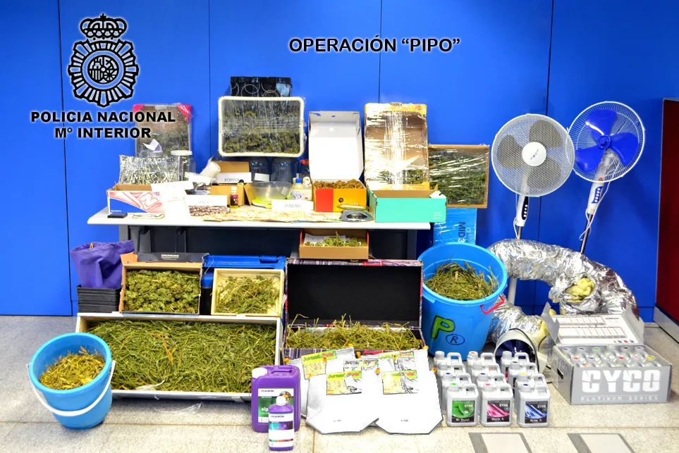 Sucesos Burgos: Incautados 9 kilos de droga dentro de la Operación Pipo