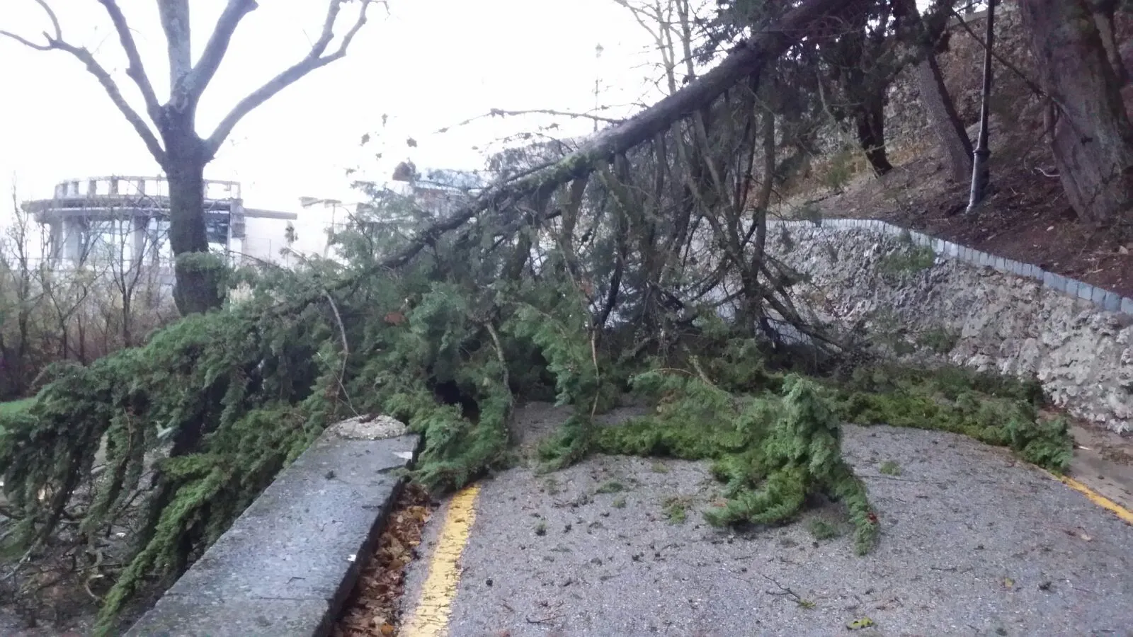 Actualidad Burgos: El Servicio de emergencias 112 gestiona más de 150 avisos por incidentes relacionados con el viento en Castilla y León
