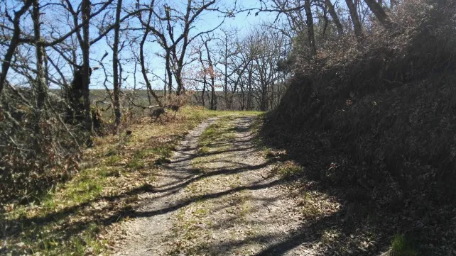 Provincia Burgos: Comienzan las obras de infraestructura rural de la concentración parcelaria de Valdazo