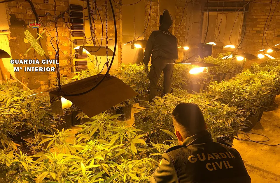Sucesos Burgos: La Guardia Civil desmantela una plantación indoor de marihuana en las Merindades