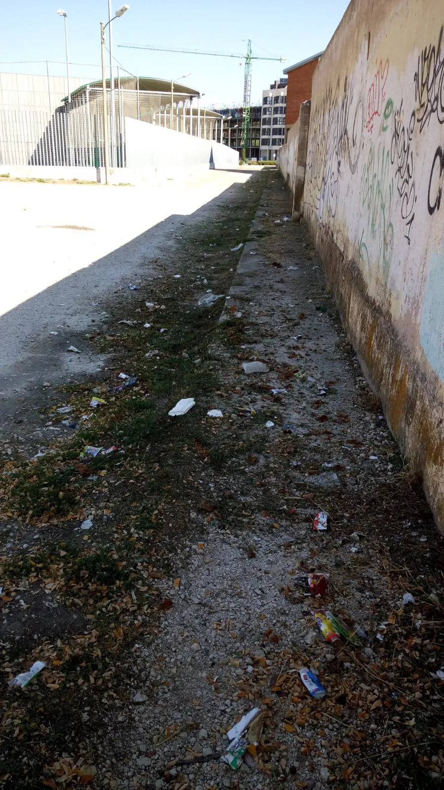 Sucesos Burgos: EL PSOE pide que se complete la urbanización de la parcela del polideportivo Esther San Miguel