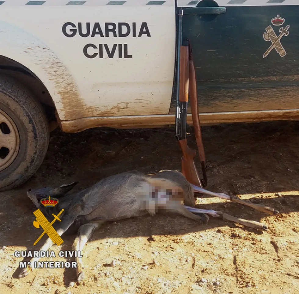 Sucesos Burgos: El SEPRONA sorprende a un cazador abatiendo un corzo en época de veda