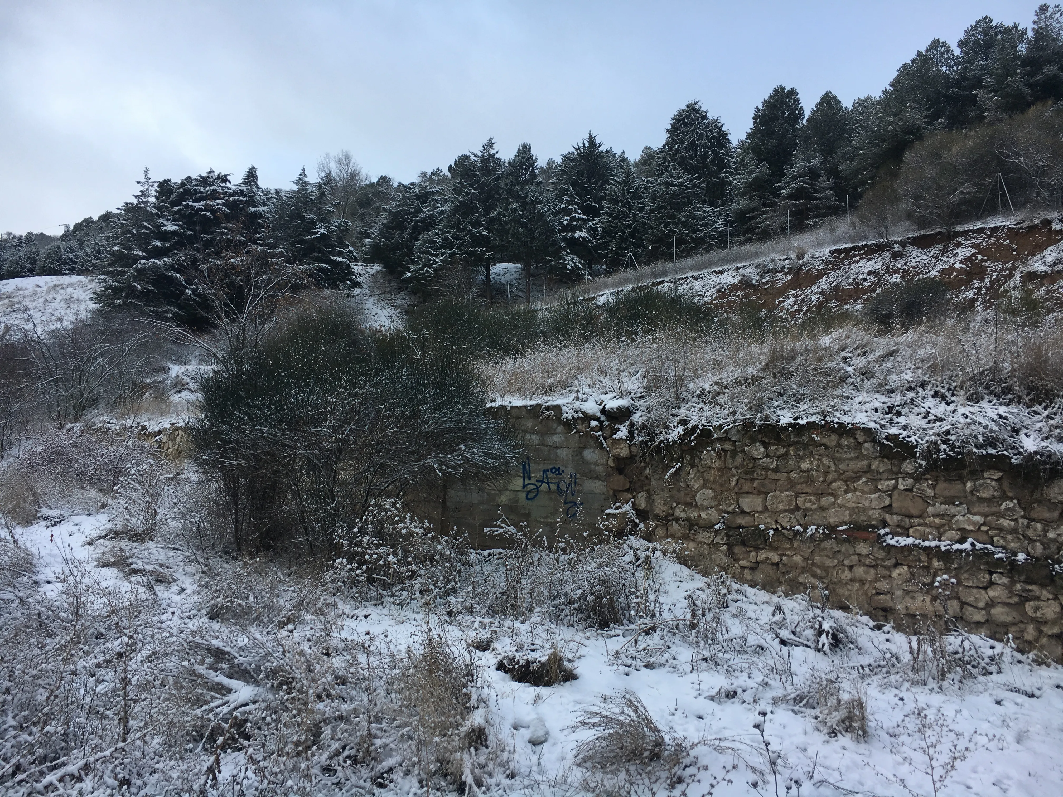 Local Burgos: Hasta 10 centímetros de nieve el día de Reyes