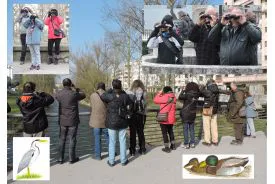 Ciencia Burgos: La Fundación Caja de Burgos organiza un taller de observación de aves de invierno