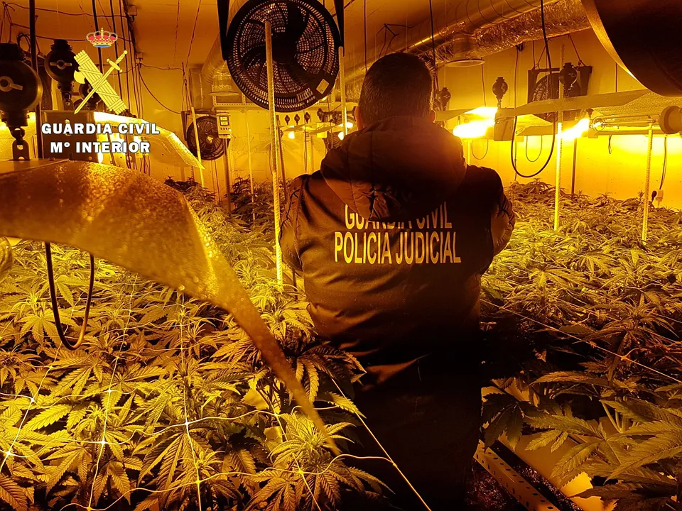 Sucesos Burgos: La Guardia Civil desmantela una importante plantación indoor de marihuana