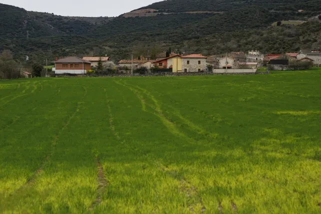 Local Burgos: La ARMH pide a las Cortes que rinda homenaje a los republicanos castellanoleoneses deportados a los campos nazis