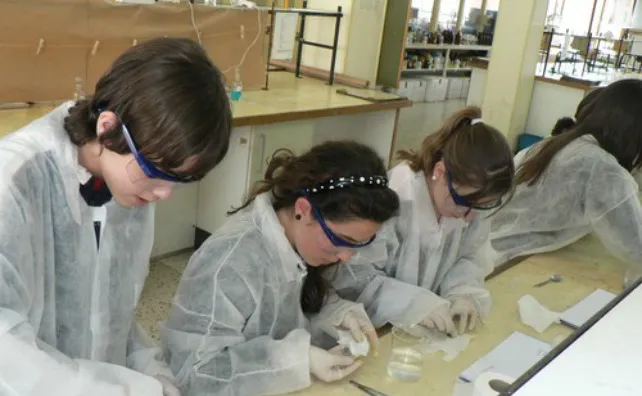 Universidad Burgos: La UBU acoge la IX Olimpiada de Biología