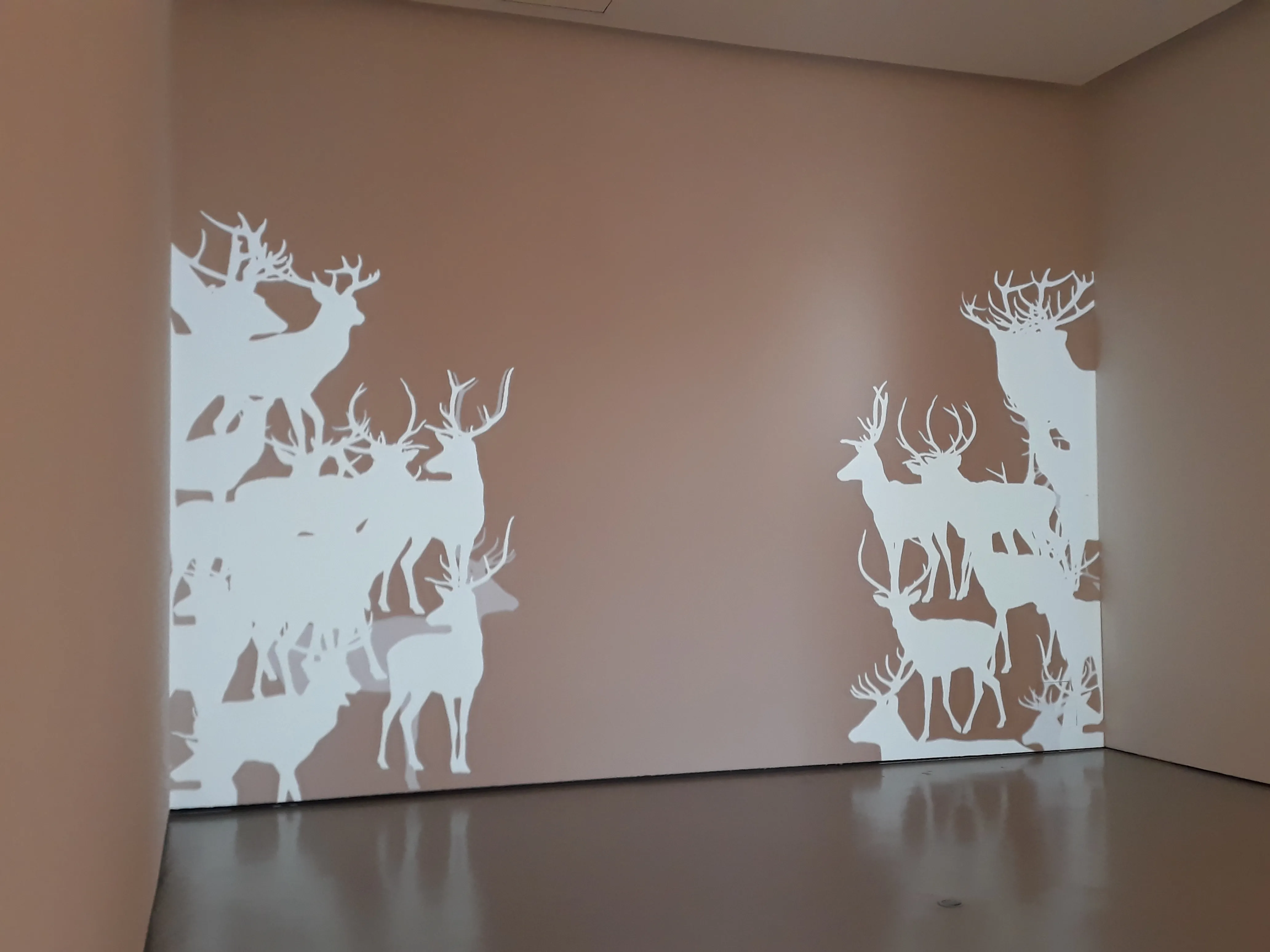 Cultura Burgos: EL CAB trae a la ciudad tres artistas de relevancia internacional