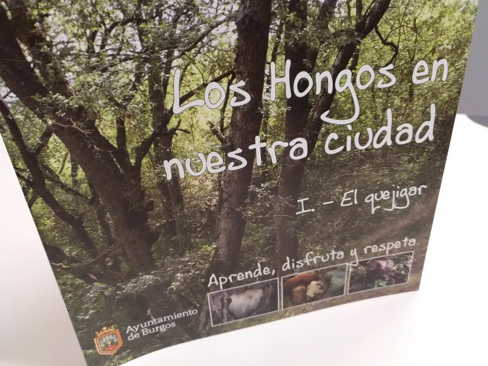 Burgosnoticias.com - Información, noticias, actualidad, deportes y sucesos de Burgos