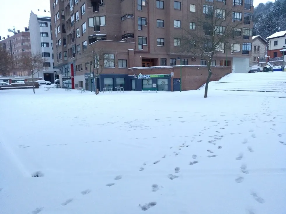 Actualidad Burgos: Burgos amanece cubierta por una intensa capa de nieve