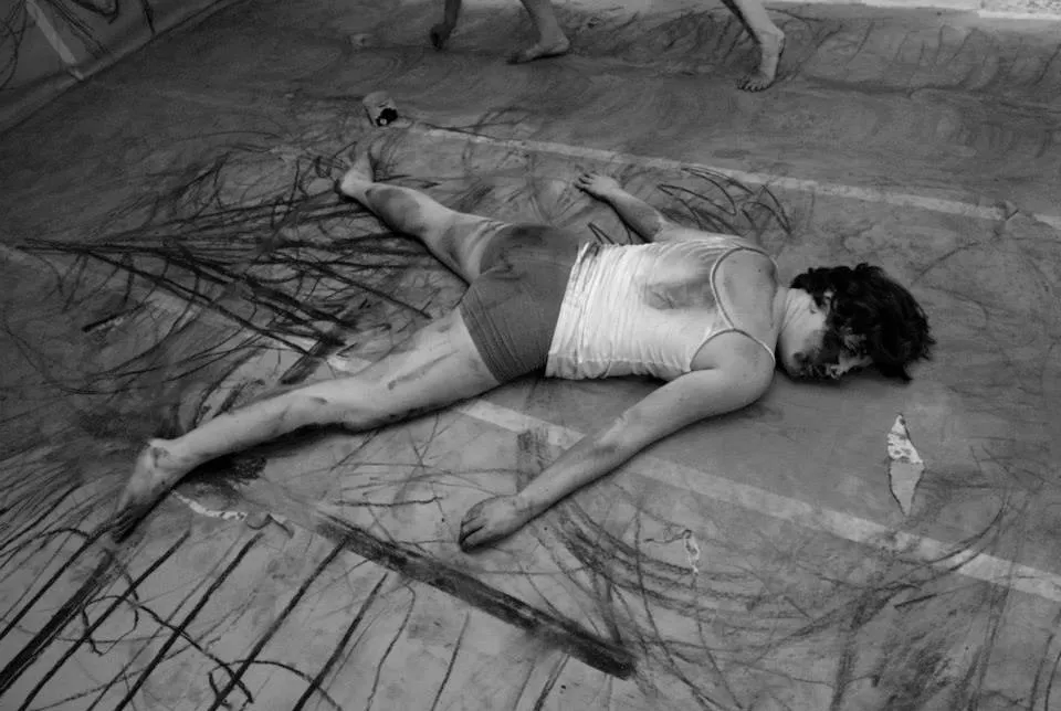 Cultura Burgos: La burgalesa Eva Zaragozá expone su Domesticación en la UBU