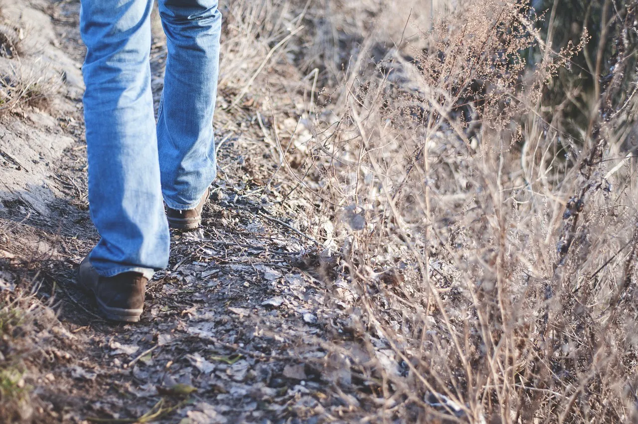 Actualidad Burgos: Las 3 mejores rutas para hacer senderimo en Burgos