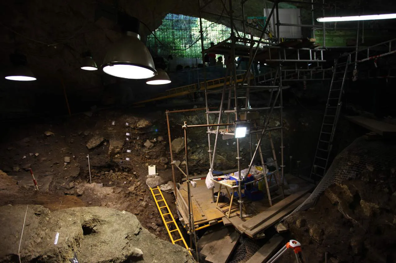 Cultura Burgos: Atapuerca volverá a tener Campo de Voluntariado