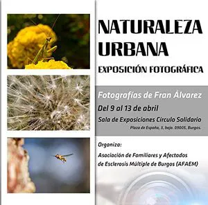 Cultura Burgos: Agenda cultural 9 abril