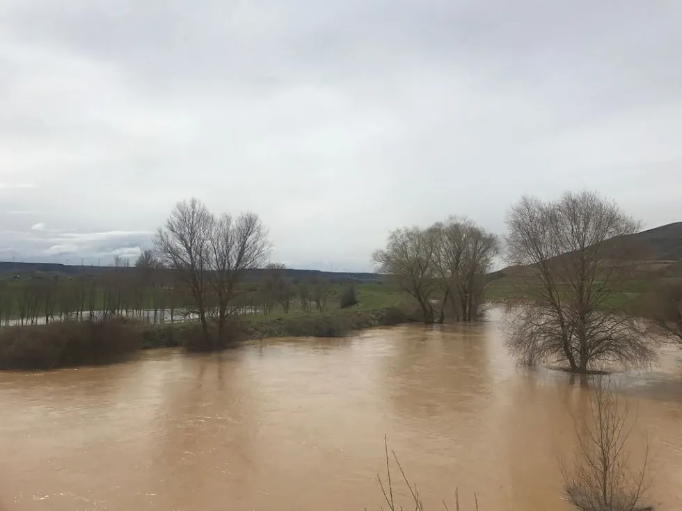 Local Burgos: El Arlanza, el Odra y el Ubierna, en alerta por la crecida de su caudal