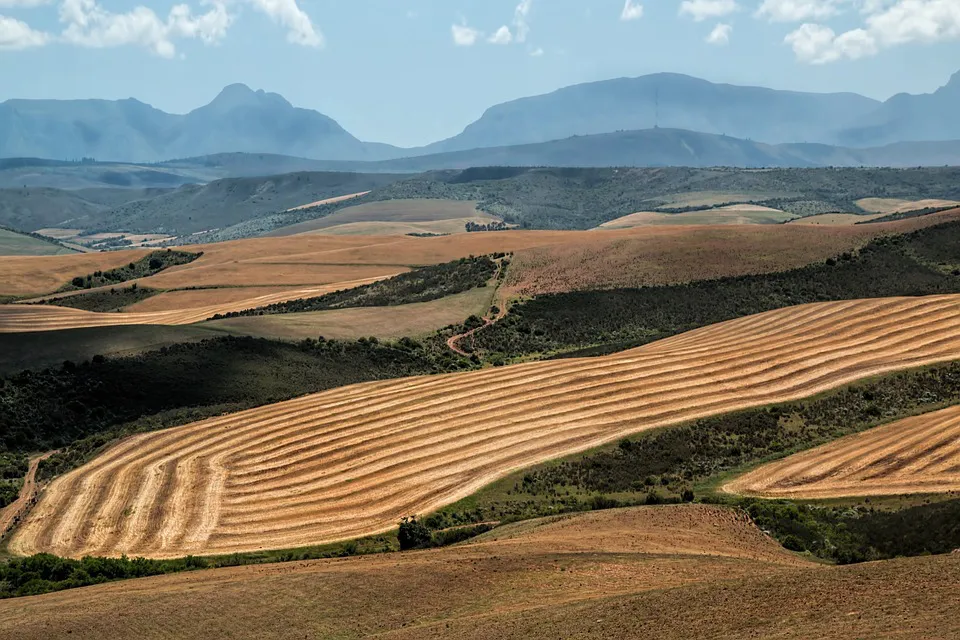 Rutas CyL Burgos: La Tierra de Campos vallisoletana