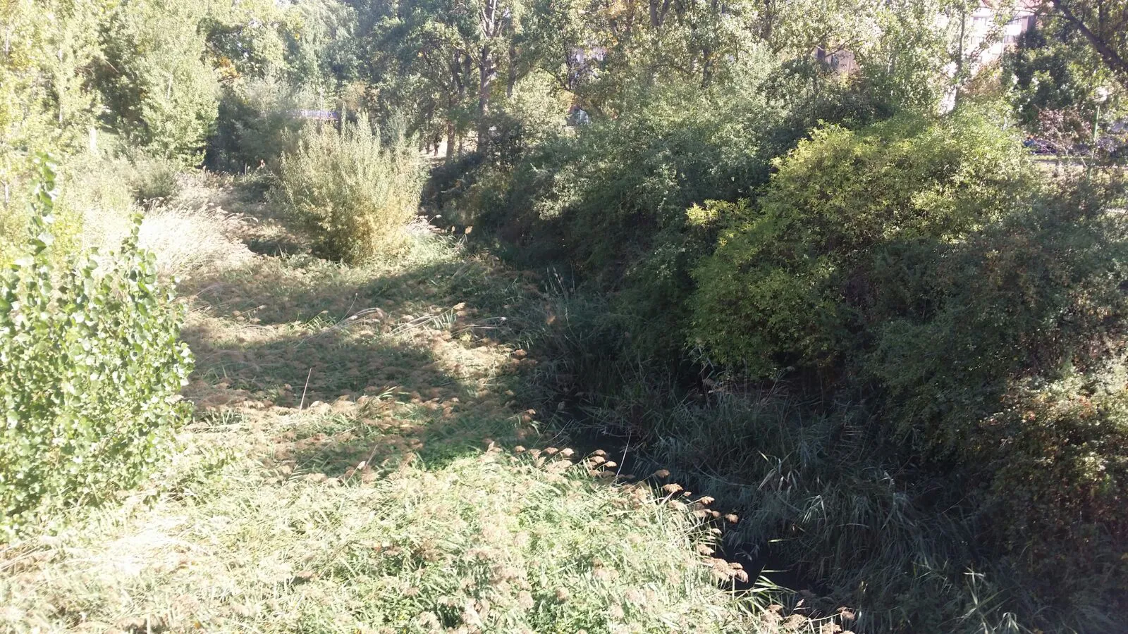Actualidad Burgos: El Ayuntamiento destinará 950.000 euros para acondicionar la IV Fase del río Vena