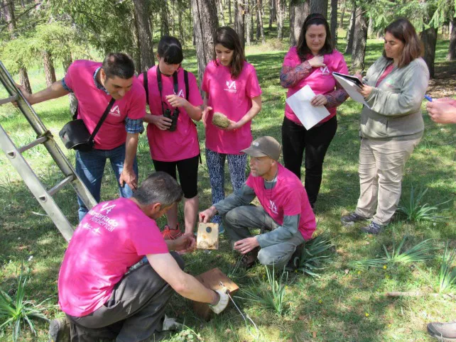 Castilla y León Burgos: La Junta oferta cerca de medio millar de plazas para los campos de voluntariado juvenil