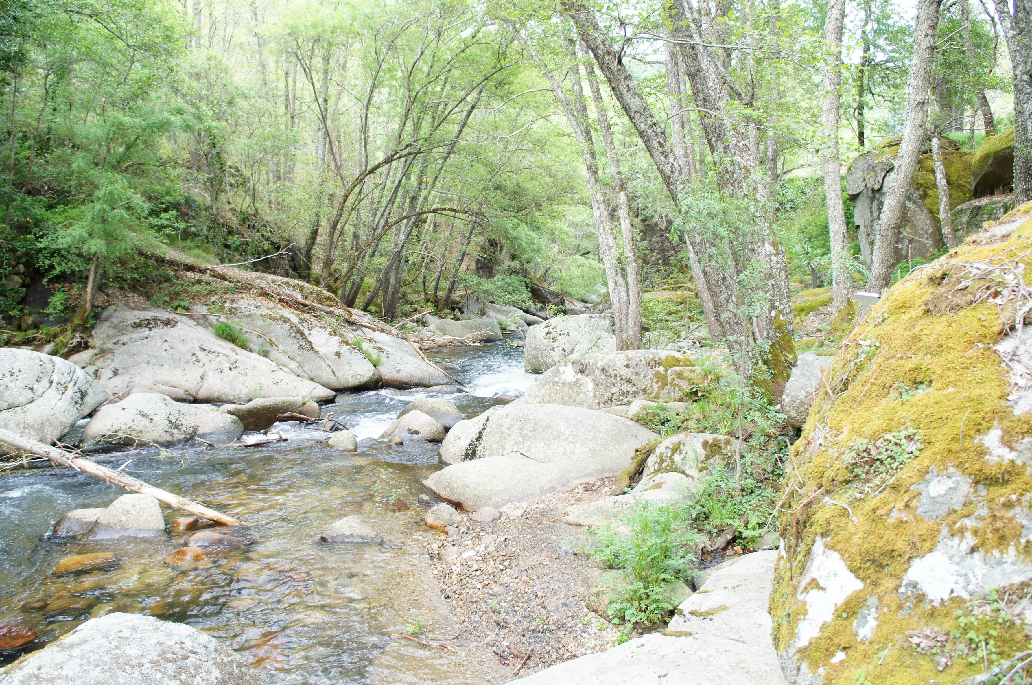 Rutas CyL Burgos: Descubre las maravillas de la Sierra de Francia