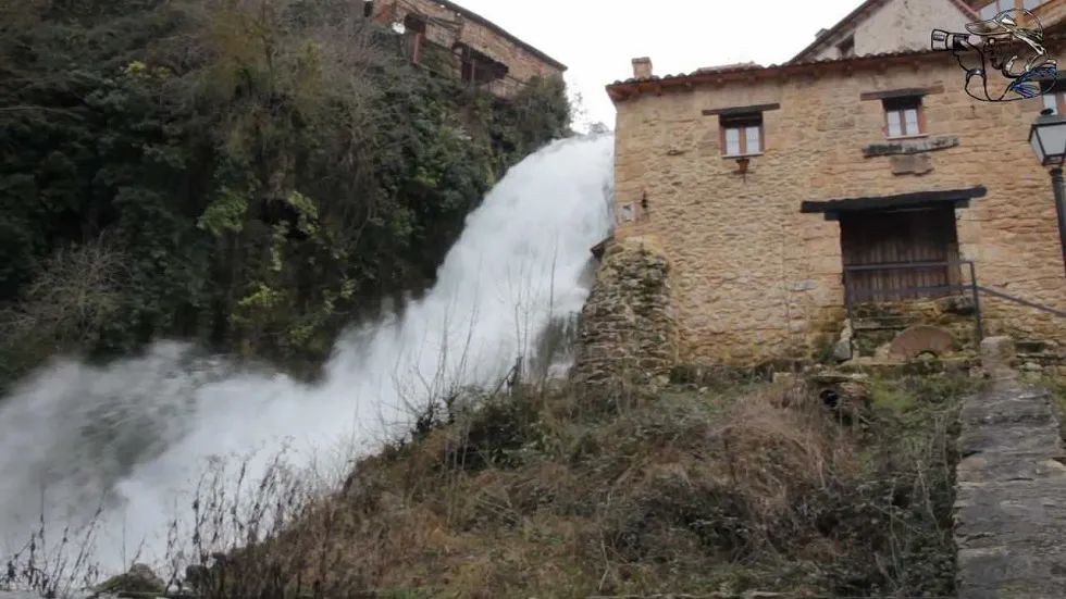 Local Burgos: El turismo de Burgos: la gallina de los huevos de oro, según Imagina Burgos, que nos estamos cargando