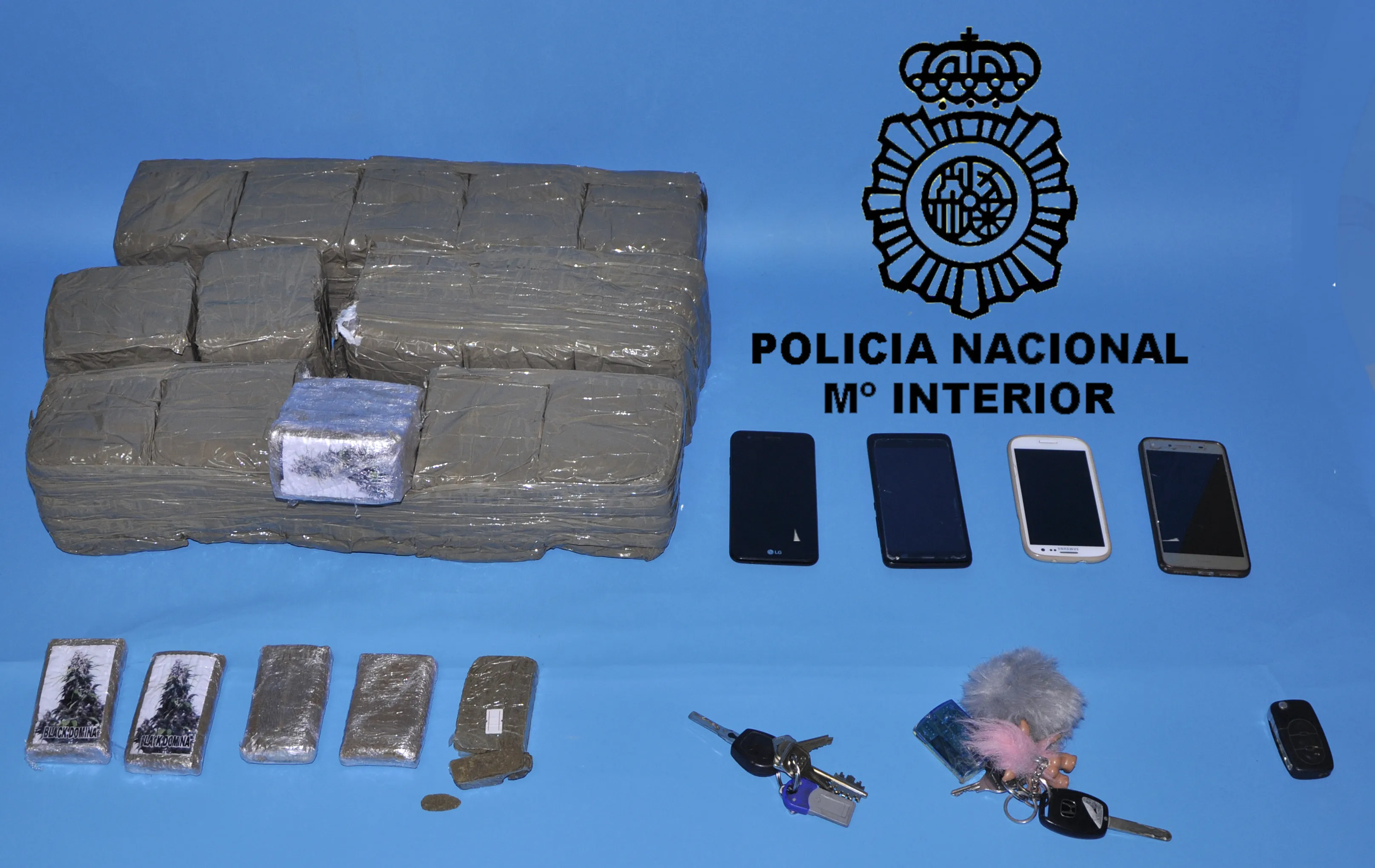 Sucesos Burgos: La policía detiene en Burgos a tres personas e interviene más de dieciséis kilos de hachís