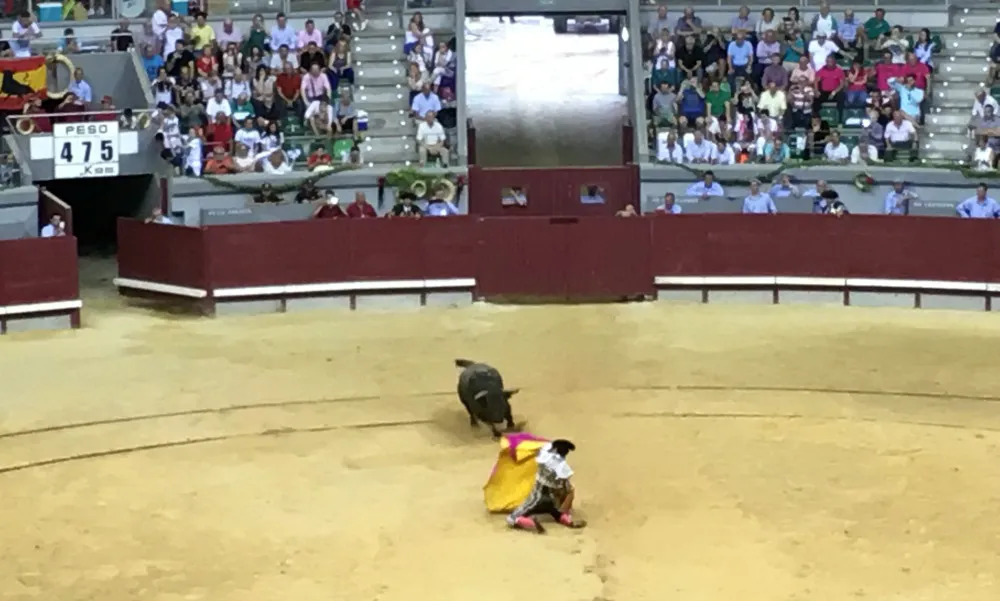 Actualidad Burgos: Roca Rey, Morenito de Aranda y José Ignacio Ramos torearán en Burgos con la destacada ausencia de El Juli