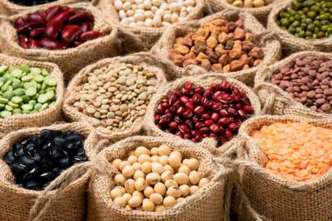 Local Burgos: El 28 de mayo se celebra el Día Nacional de la Nutrición
