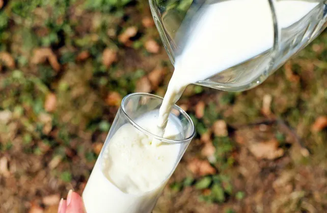 Castilla y León Burgos: Reclaman al Gobierno medidas para paliar la crisis de precios del ovino de leche