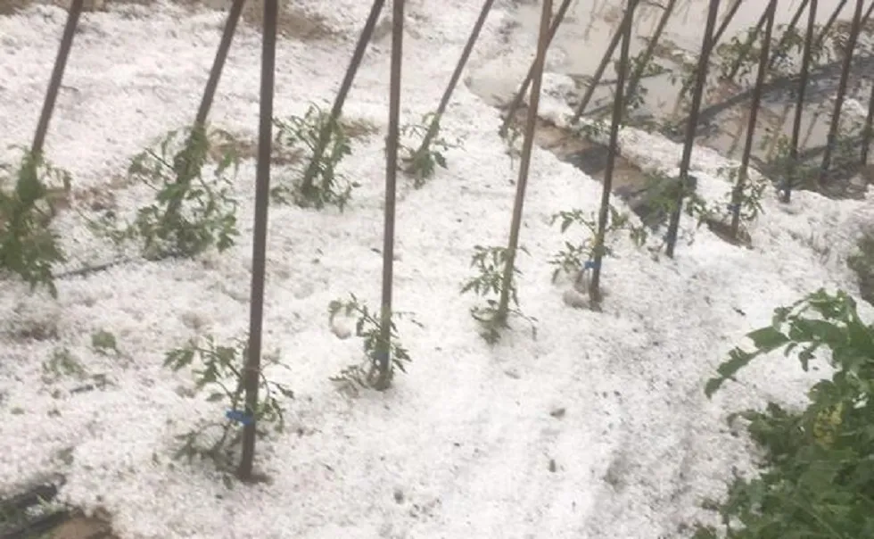 Actualidad Burgos: Una tromba de agua y granizo inunda las calles de Fuentelcésped