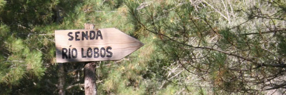 Rutas CyL Burgos: Parque Cañón de Río Lobos, naturaleza al alcance de todos