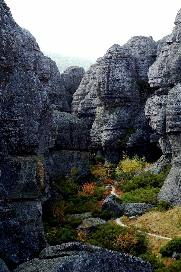 Local Burgos: Llega a España Greenways Heritage un proyecto que une las vías verdes con el patrimonio