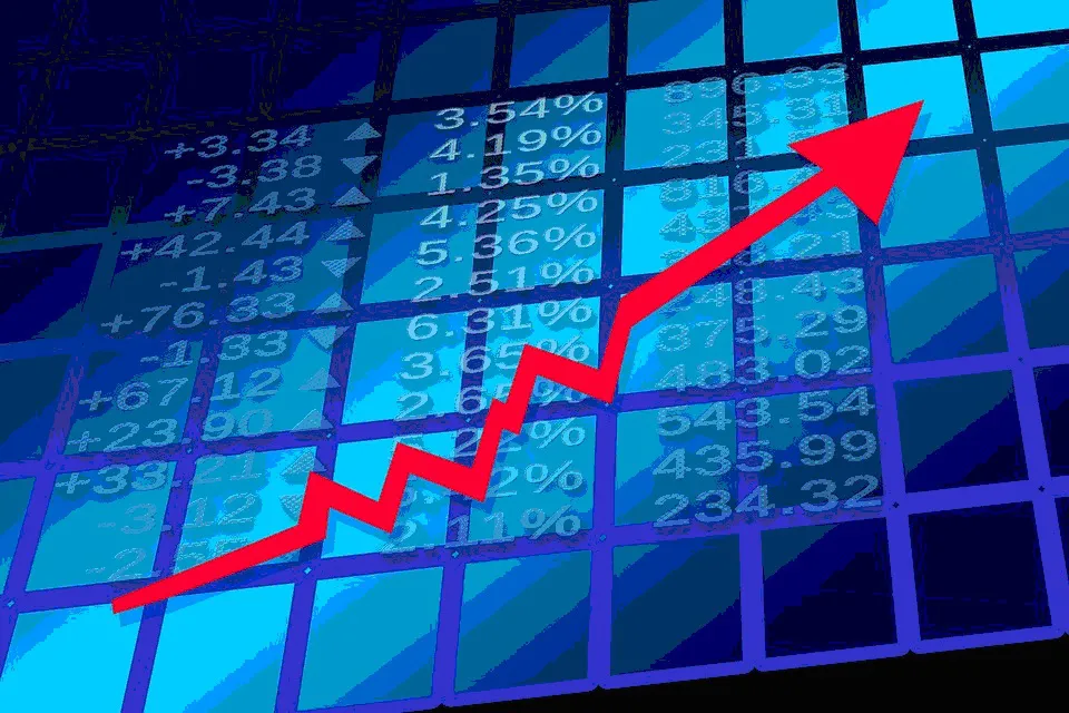 Local Burgos: Las principales redes de trading online
