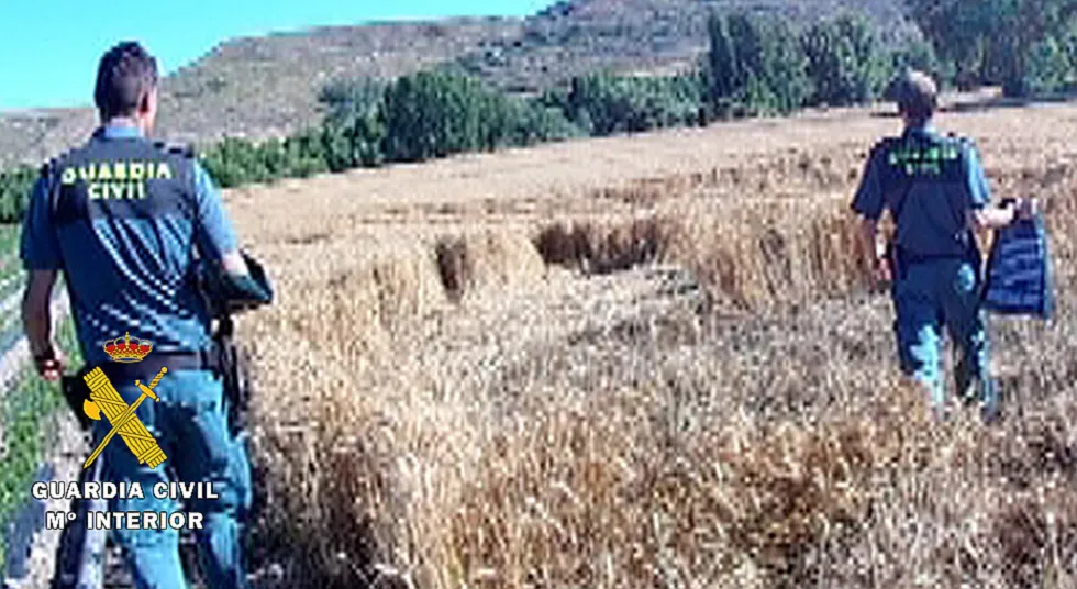 Sucesos Burgos: El SEPRONA investiga a 6 agricultores por fraude en el grano de cereal protegido