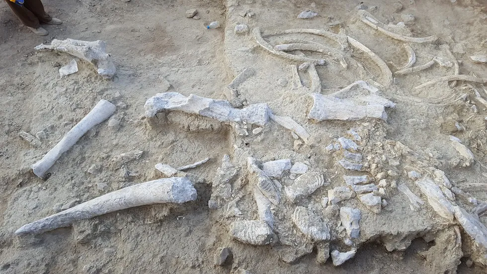 Ciencia Burgos: El CENIEH recibe cerca de cien mil euros para seguir investigando en Olduvai