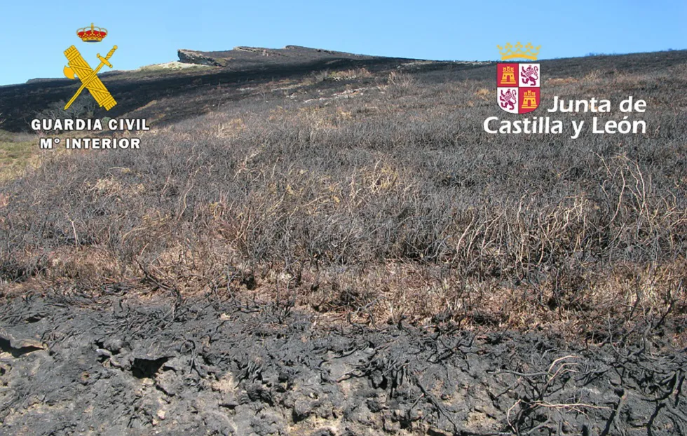 Sucesos Burgos: Investigan a un ganadero y su hijo menor por un delito de incendio forestal