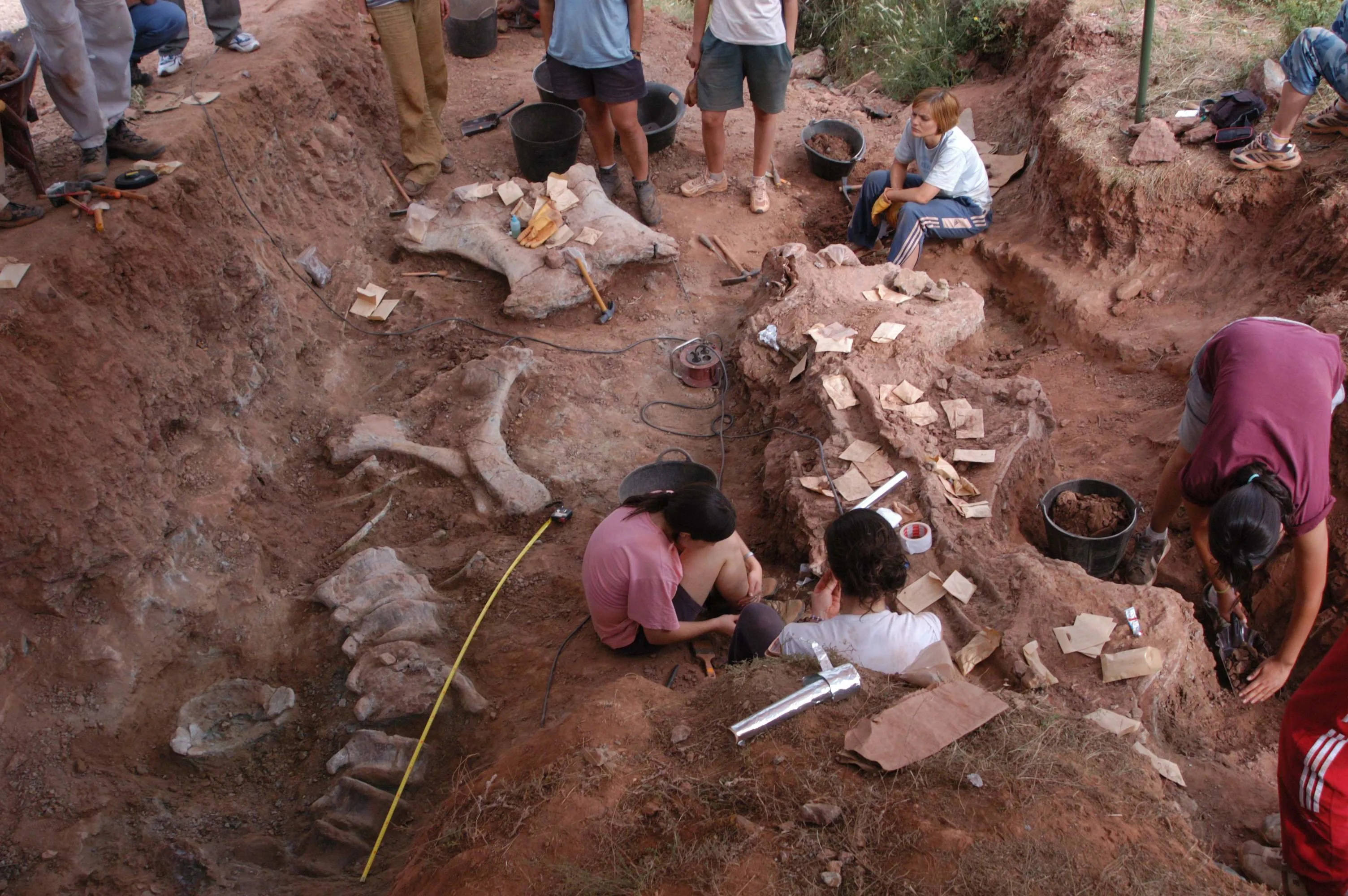 Provincia Burgos: Las excavaciones paleontológicas en la Demanda comienzan su XV campaña