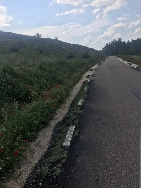 Provincia Burgos: Ciudadanos propondrá el uso de herbicidas controlados para la mejora de las carreteras