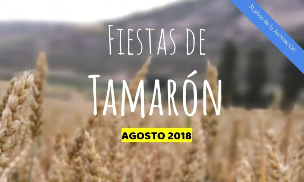 Provincia Burgos: Tamarón viste medieval con motivo de sus fiestas