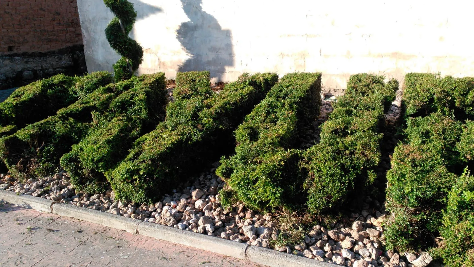 Foto denuncia Burgos: Estropeados los jardines de Cayuela