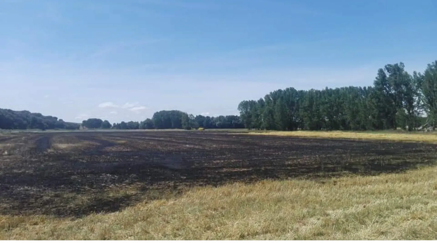 Provincia Burgos: Sofocado un incendio en Ruyales del Agua