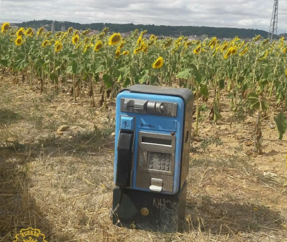Actualidad Burgos: Encuentran una cabina telefónica robada en una finca de girasoles