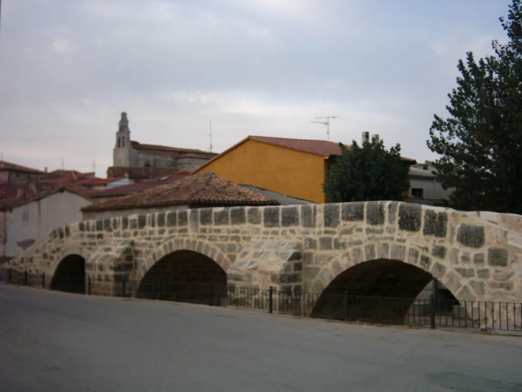 Provincia Burgos: El Festival Pollogómez Folk llega a Villangómez
