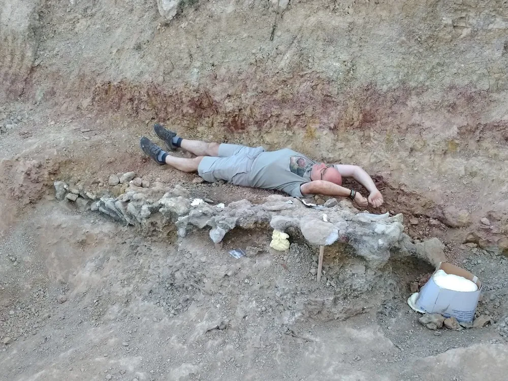Provincia Burgos: Se completa gran parte del esqueleto de un dinosaurio saurópodo gigante