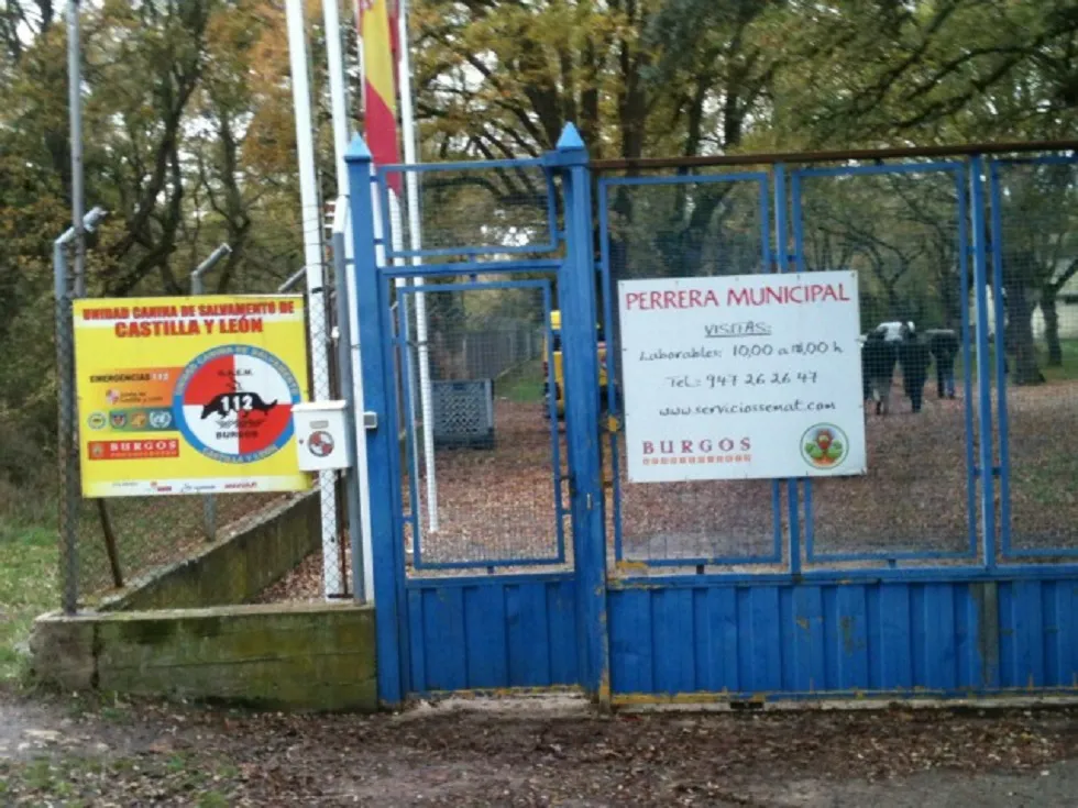 Local Burgos: Decepción en el Ayuntamiento con la Protectora
