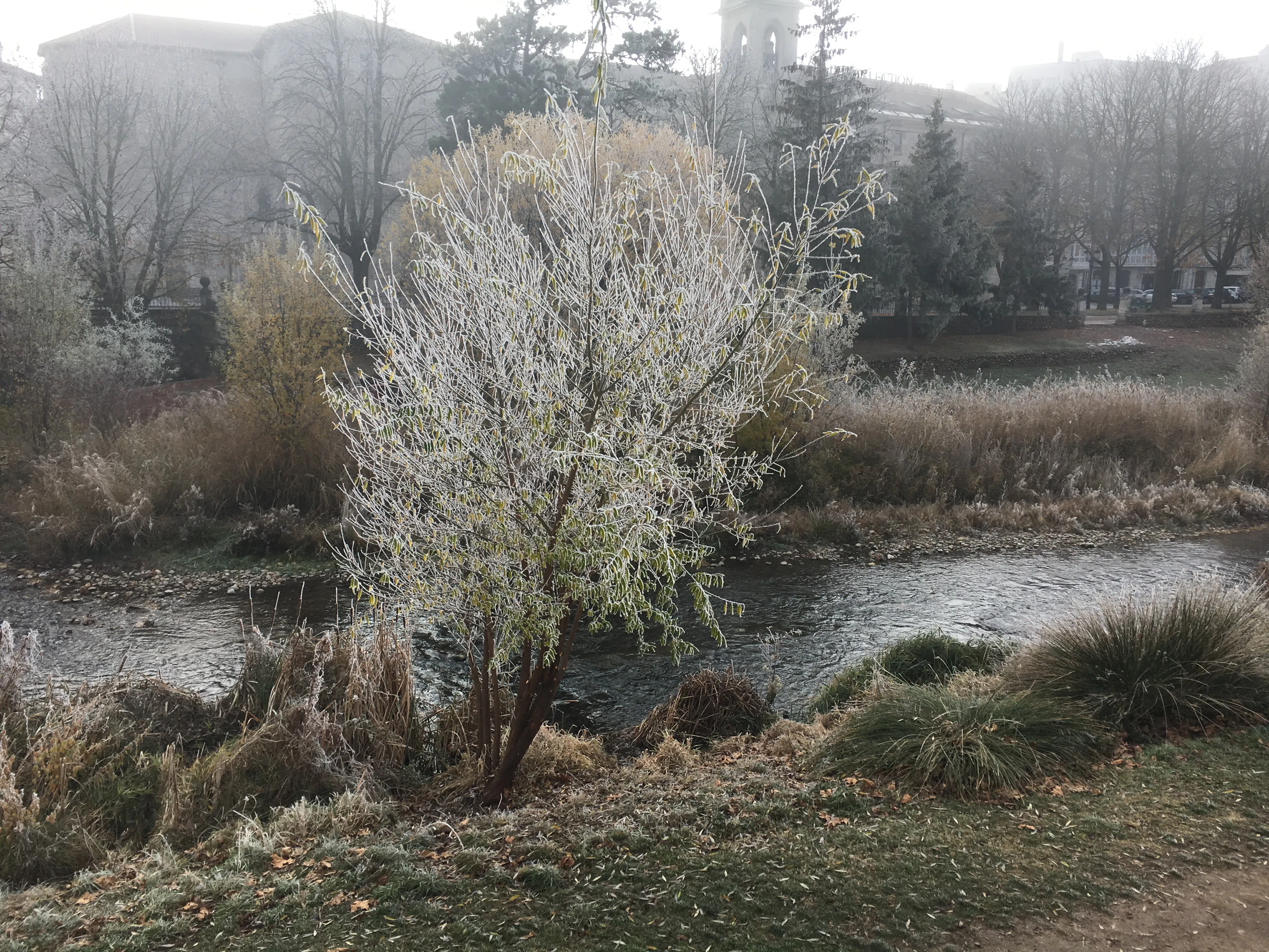 Local Burgos: El otoño se estrena con la primera helada en Palacios de la Sierra