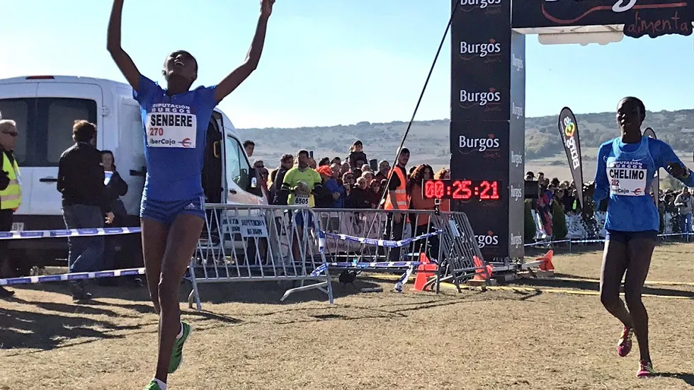 Deportes Burgos: El XV Cross Atapuerca se disputará el domingo 11 de noviembre